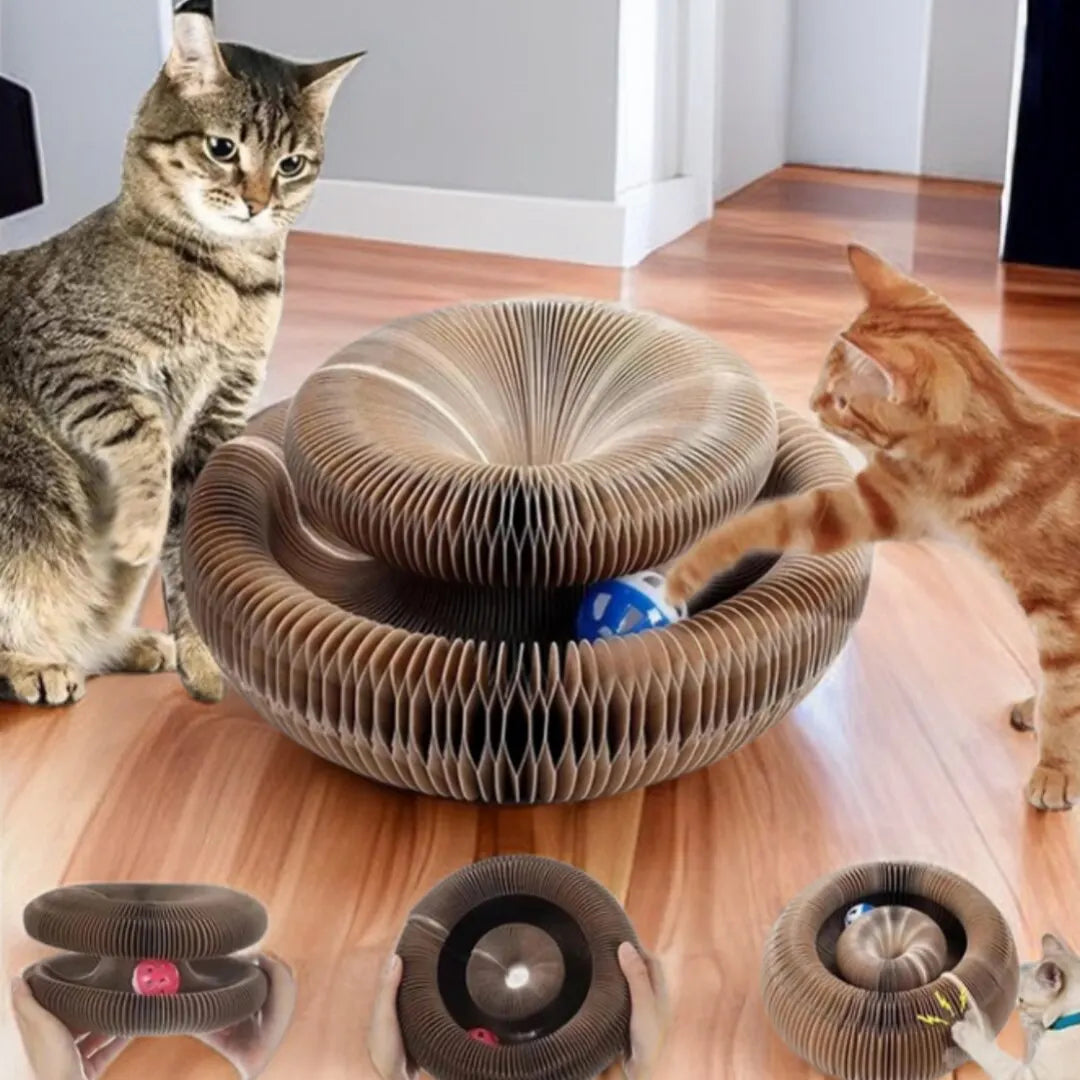 #1 Magical Cat Toy: Flexible Organ Board for Scratching with Ball