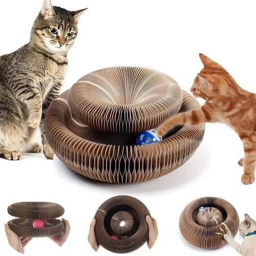 #1 Magical Cat Toy: Flexible Organ Board for Scratching with Ball